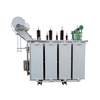 Oil-Immersed Transformer (Conservator Transformer)