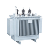 Oil-Filled Transformer